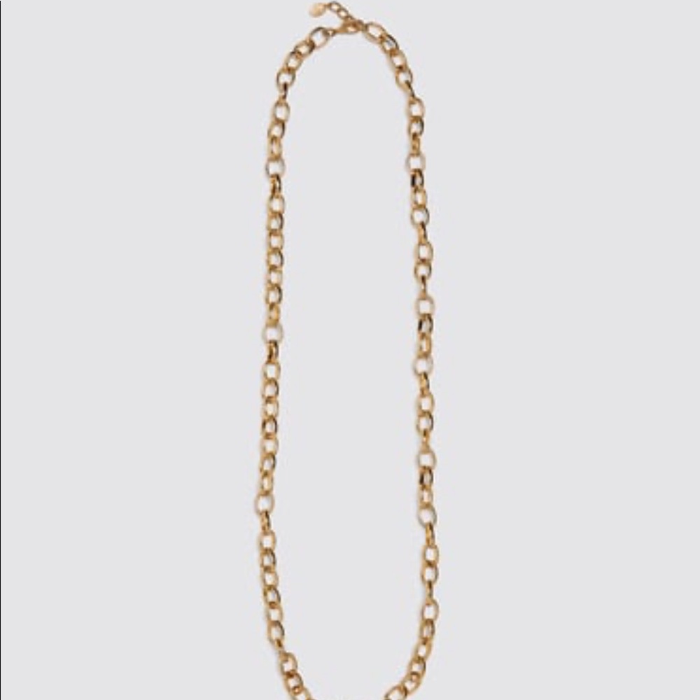 🆕Zara Limited Edition Linked Chain Necklace